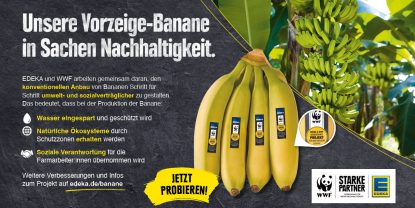 Unsere Vorzeige-Banane